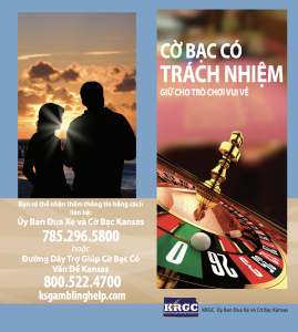 Responsible Gambling Brochures - Vietnamese