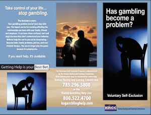 Voluntary Exclusion Brochures - English